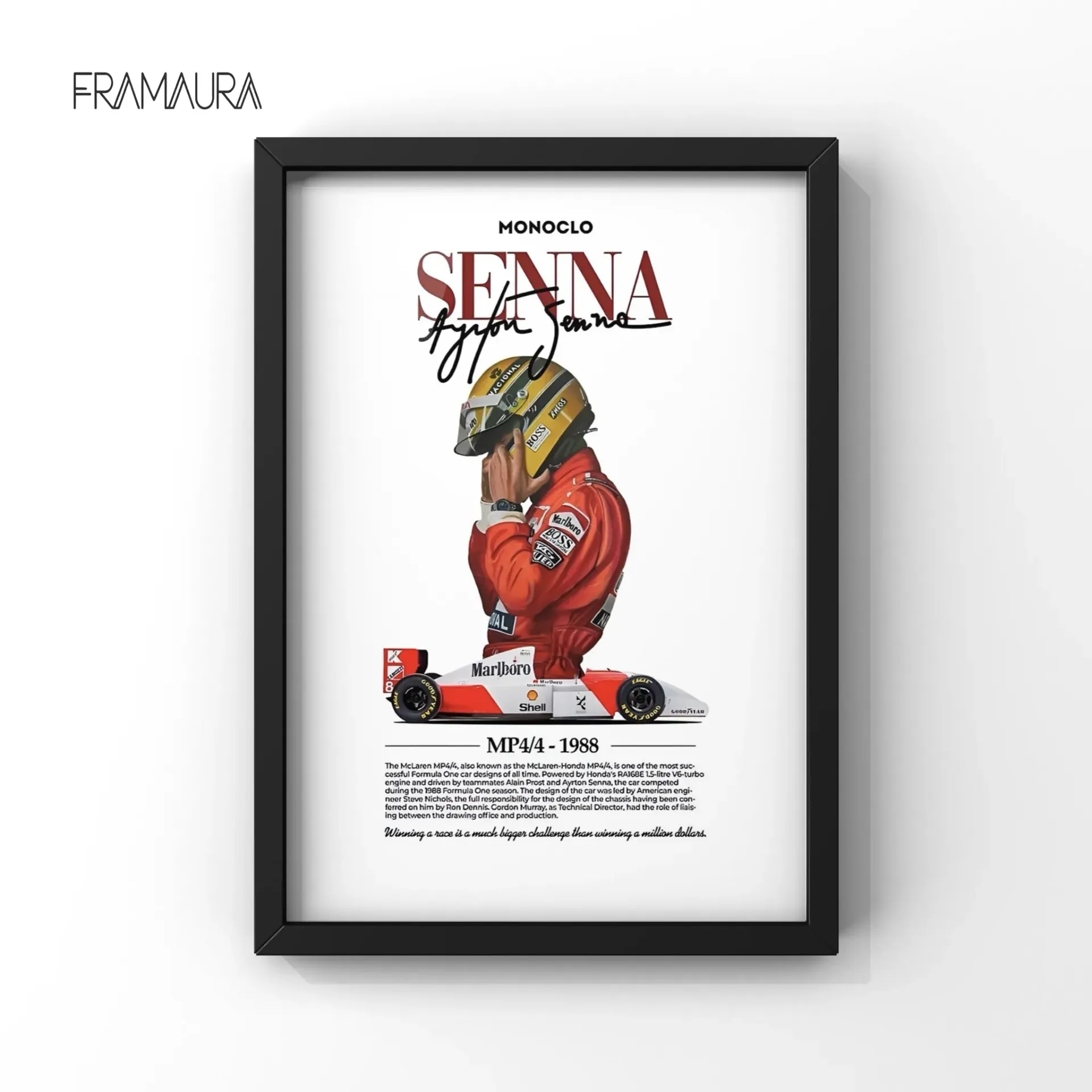F1-13 (20x30 cm, Black frame)
